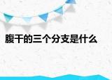 腹干的三个分支是什么