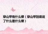 穿山甲有什么梗（穿山甲到底说了什么是什么梗）