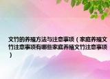 文竹的养殖方法与注意事项（家庭养殖文竹注意事项有哪些家庭养殖文竹注意事项）