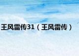 王风雷传31（王风雷传）