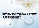 网络用语pyc什么意思（py是什么意思网络语言）
