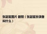 张副官图片 剧照（张副官扮演者叫什么）