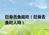 巨骨舌鱼能吃（巨骨舌鱼吃人吗）