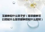 玉貔貅配什么链子好（翡翠貔貅可以搭配什么翡翠貔貅搭配什么招财）