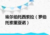 埃尔伯托西索拉（罗伯托索里亚诺）