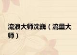 流浪大师沈巍（流量大师）