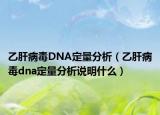 乙肝病毒DNA定量分析（乙肝病毒dna定量分析说明什么）