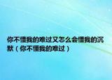 你不懂我的难过又怎么会懂我的沉默（你不懂我的难过）