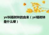 ysl叫杨树林的由来（ysl杨树林是什么梗）