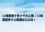 12海里等于多少平方公里（12海里是多少公里国际公认吗）