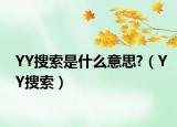 YY搜索是什么意思?（YY搜索）
