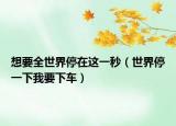 想要全世界停在这一秒（世界停一下我要下车）