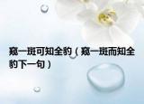 窥一斑可知全豹（窥一斑而知全豹下一句）