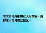 北大青鸟成都锦江天府学院（成都北大青鸟锦江校区）