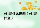 v社是什么东西（v社是什么）