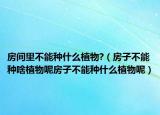 房间里不能种什么植物?（房子不能种啥植物呢房子不能种什么植物呢）