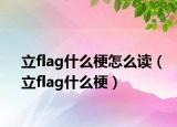 立flag什么梗怎么读（立flag什么梗）