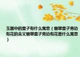玉器中的童子有什么寓意（翡翠童子旁边有花的含义翡翠童子旁边有花是什么寓意）