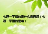 七通一平指的是什么意思啊（七通一平指的是啥）