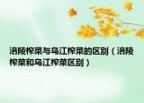 涪陵榨菜与乌江榨菜的区别（涪陵榨菜和乌江榨菜区别）