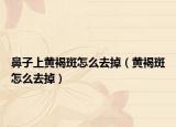 鼻子上黄褐斑怎么去掉（黄褐斑怎么去掉）