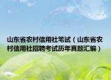 山东省农村信用社笔试（山东省农村信用社招聘考试历年真题汇编）
