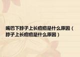 嘴巴下脖子上长痘痘是什么原因（脖子上长痘痘是什么原因）