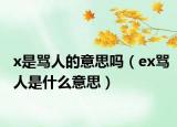 x是骂人的意思吗（ex骂人是什么意思）