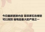 今日最新更新内容 翡翠原石在哪里可以找到 缅甸是最大的产地之一