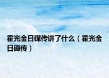 霍光金日磾传讲了什么（霍光金日磾传）