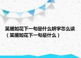 笑靥如花下一句是什么妍字怎么读（笑靥如花下一句是什么）