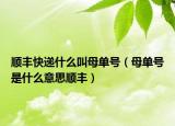 顺丰快递什么叫母单号（母单号是什么意思顺丰）