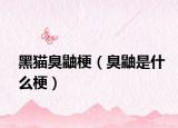 黑猫臭鼬梗（臭鼬是什么梗）