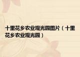十里花乡农业观光园图片（十里花乡农业观光园）