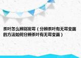 茶叶怎么辨别发霉（分辨茶叶有无霉变菌的方法如何分辨茶叶有无霉变菌）