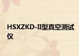 HSXZKD-II型真空测试仪