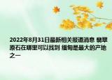 2022年8月31日最新相关报道消息 翡翠原石在哪里可以找到 缅甸是最大的产地之一