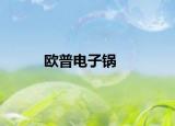 欧普电子锅