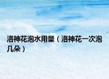 洛神花泡水用量（洛神花一次泡几朵）