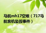 马航mh17空难（717马航客机坠毁事件）