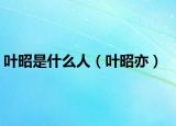 叶昭是什么人（叶昭亦）