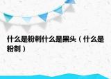 什么是粉刺什么是黑头（什么是粉刺）
