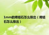 1mm的肾结石怎么排出（肾结石怎么排出）