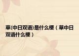 草(中日双语)是什么梗（草中日双语什么梗）