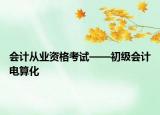 会计从业资格考试——初级会计电算化