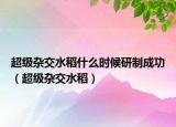 超级杂交水稻什么时候研制成功（超级杂交水稻）