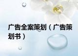广告全案策划（广告策划书）