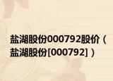 盐湖股份000792股价（盐湖股份[000792]）