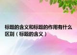 标题的含义和标题的作用有什么区别（标题的含义）