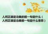人间正道是沧桑的前一句是什么（人间正道是沧桑前一句是什么意思）